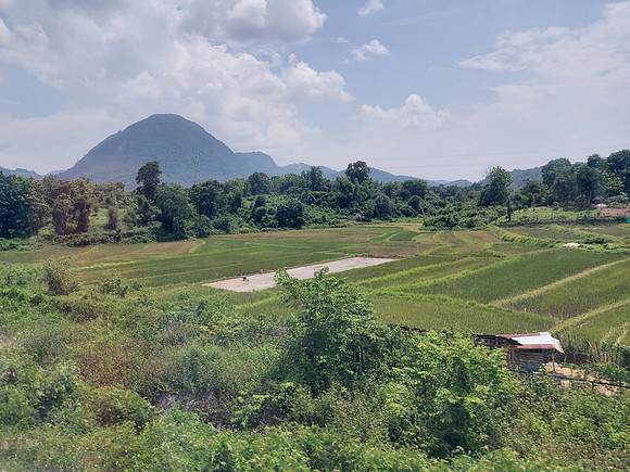 20220528_132437-farmland