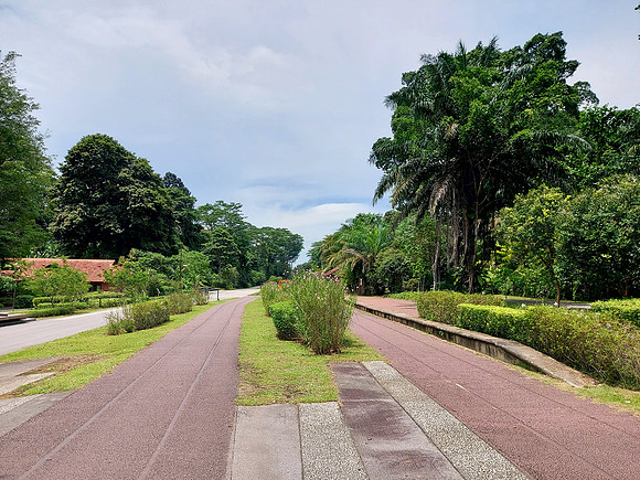 20240418_121114-bukit-timar
