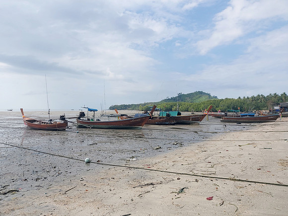20220209_092731-low-tide