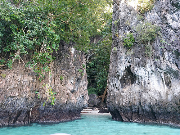 20220130_102015-monkey-bay