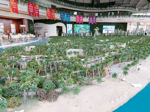 20220728_142140-forest-city-forest