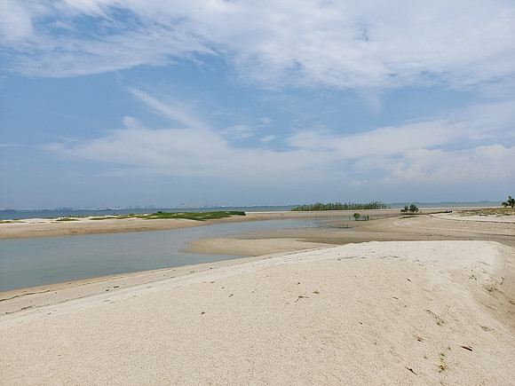 20220728_144124-sand-reclaim-area