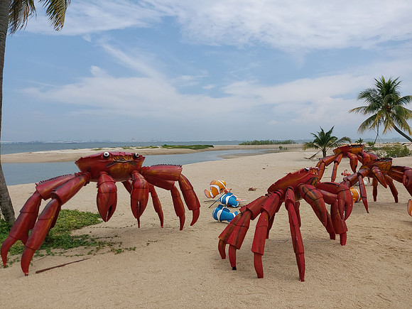 20220728_144321-beach-crabs