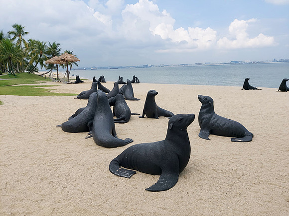 20220728_144436-beach-seals
