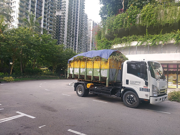 20220728_164439-gardening-truck