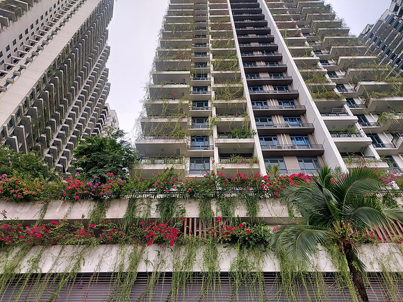 20220728_165241-starview-bay-greenery
