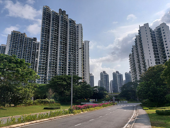 20220729_095519-forest-of-apartments