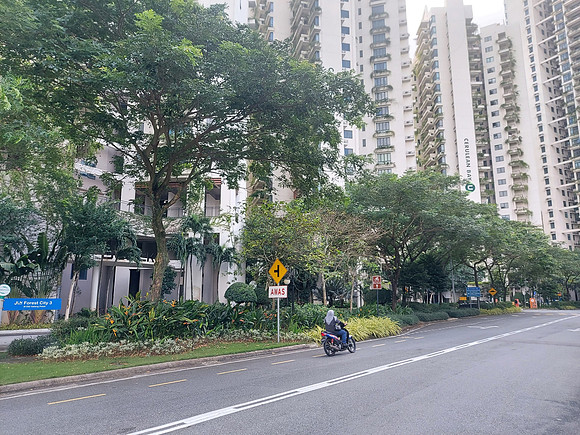 20220729_095648-jln-forest-city-3