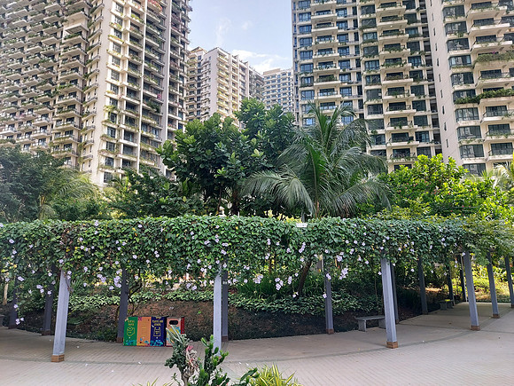 20220729_100546-regalia-park-common-area