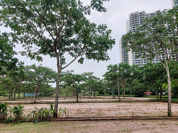 20220729_132025-land-opposite-regalia-park