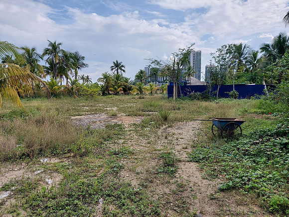 20220729_163518-undeveloped-land