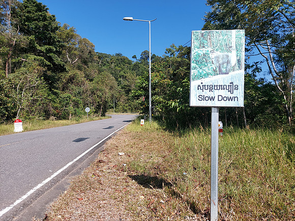 20220115_094720-slow-down-for-monkeys