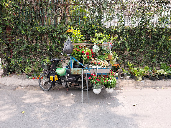 20220416_110554-garden-bike