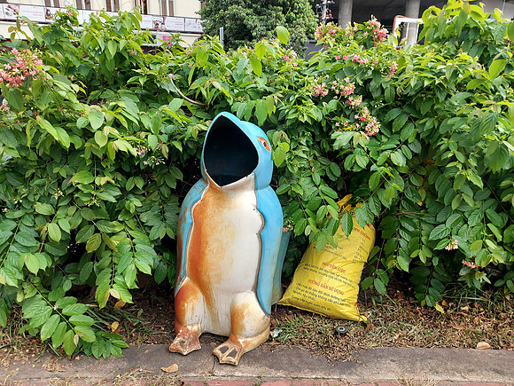 20220609_153914-penguin-bin