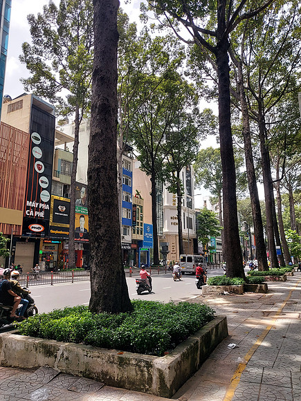 20220918_110024-big-trees