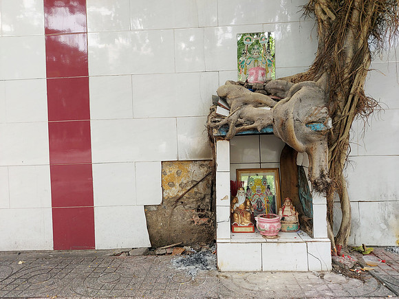 20221011_132238-tree-shrine