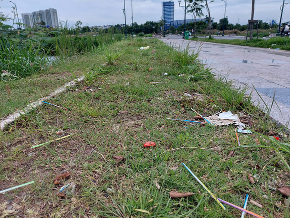 20221030_114856-straw-litter
