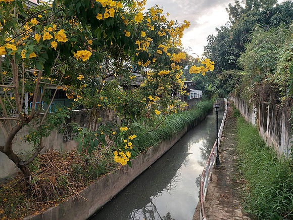 20221124_172329-canal