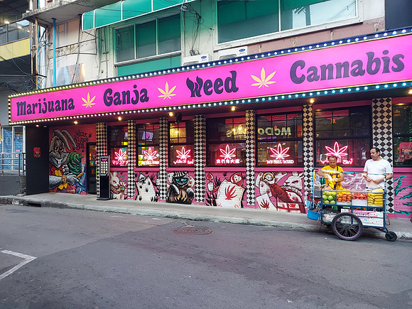 20221205_173147-weed-shop