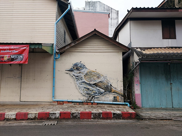 20220211_073303-bird-art