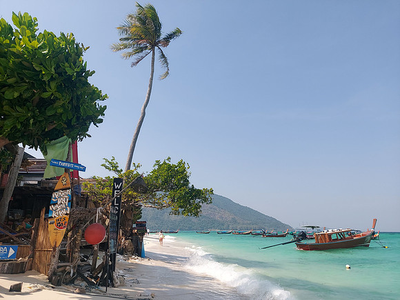 20230313_152243-beach-tree