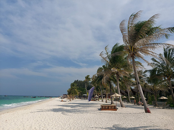 20230313_154342-irene-resort