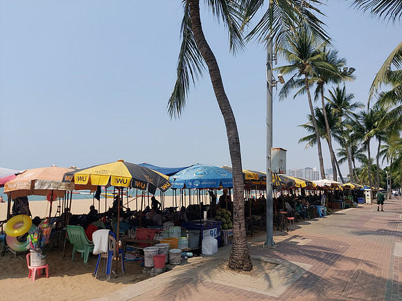 20230304_132539-beach-umbrellas