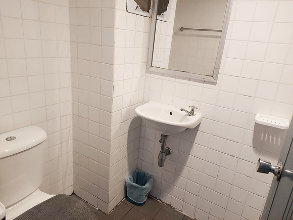 20230304_135559-sweet-pound-bathroom