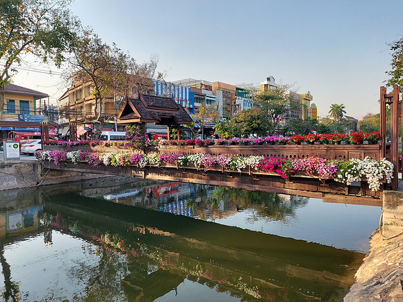 20230209_171428-flower-bridge