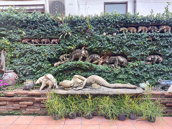 20230212_154029-sk-house-1-garden