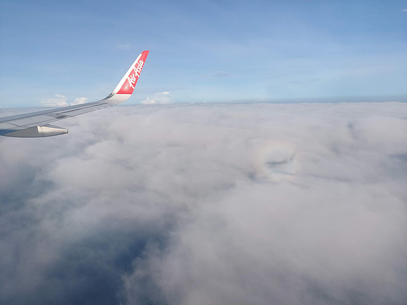 20230319_081410-ringed-shadow-lgk-to-pen