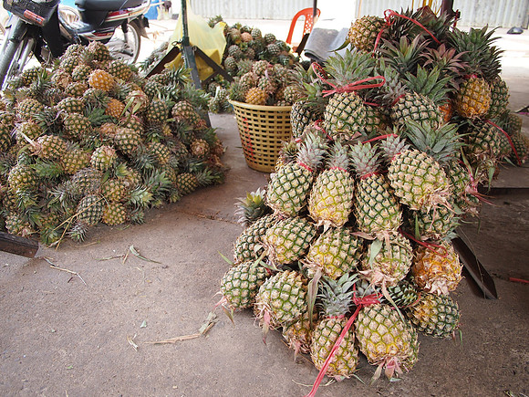 P2212333-pineapples