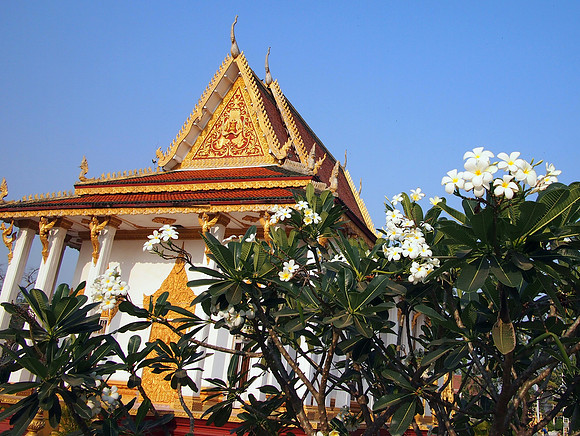 P2232493-wat-flowers