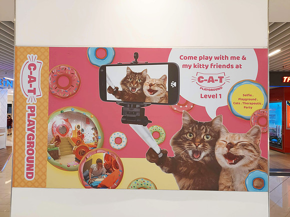 20220724_124331-cat-playground
