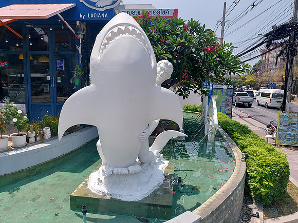 20230430_131732-man-and-shark
