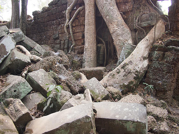 P2131855-ta-prohm-stones