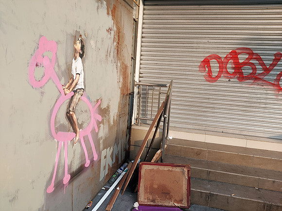 20220711_182902-pink-horse
