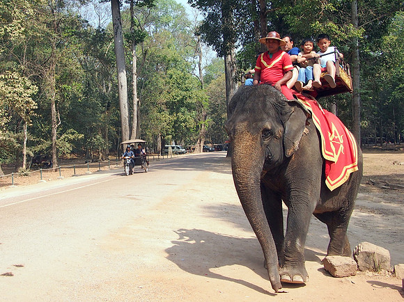 P2131778-elephant-riding