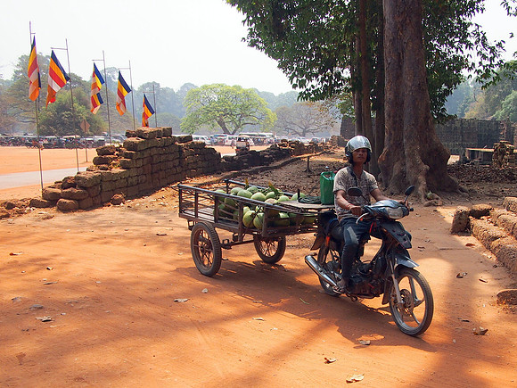 P2131825-coconut-delivery