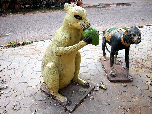 P2212363-wierd-rabbit-and-monkey