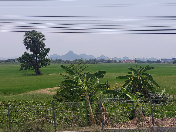 20230427_124931-petchaburi