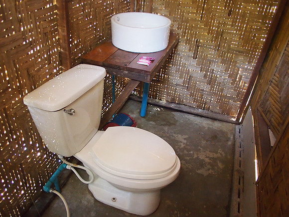 P3123251-toilet