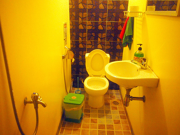 P2222393-ganesh-bathroom