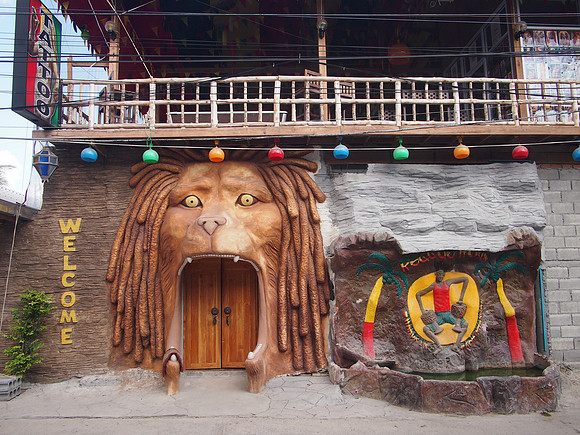 P3072947-reggae-lion