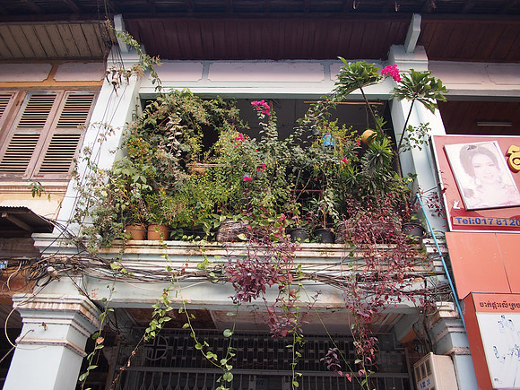 P2202317-garden-balcony
