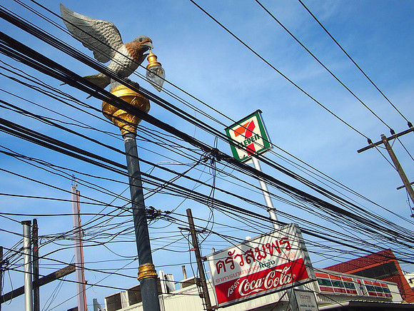 P3133372-bird-light