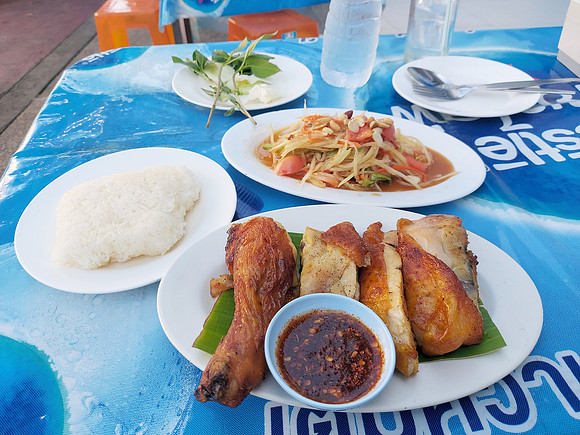 20230507_164123-chicken-papaya-salad