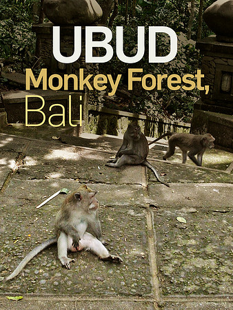 ubud-monkey-forest-bali