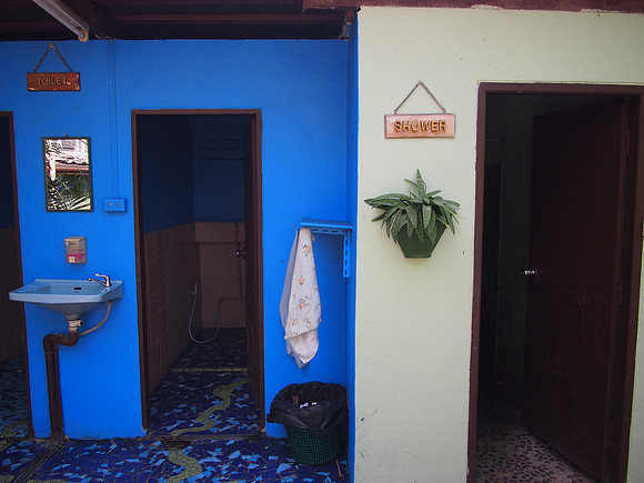 P3133349-shared-showers