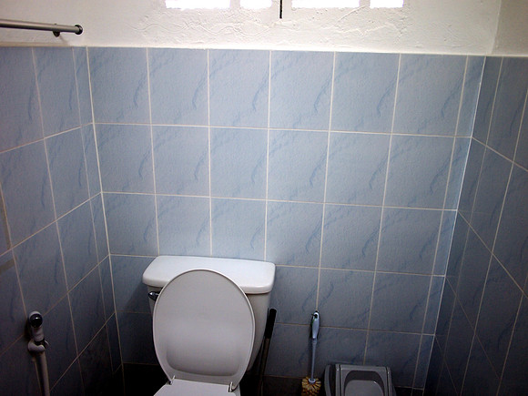 P3093137-toilet